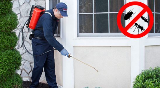 Eğirdir Böcek ve Haşere İlaçlama böcek ilaçlama ve haşere kontrolü — ilaclama-tr.com